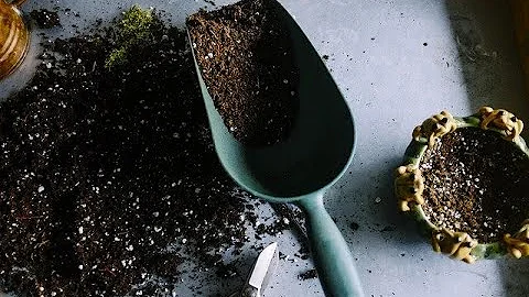 Natural Yard Care Webinar: Work less, better looki...