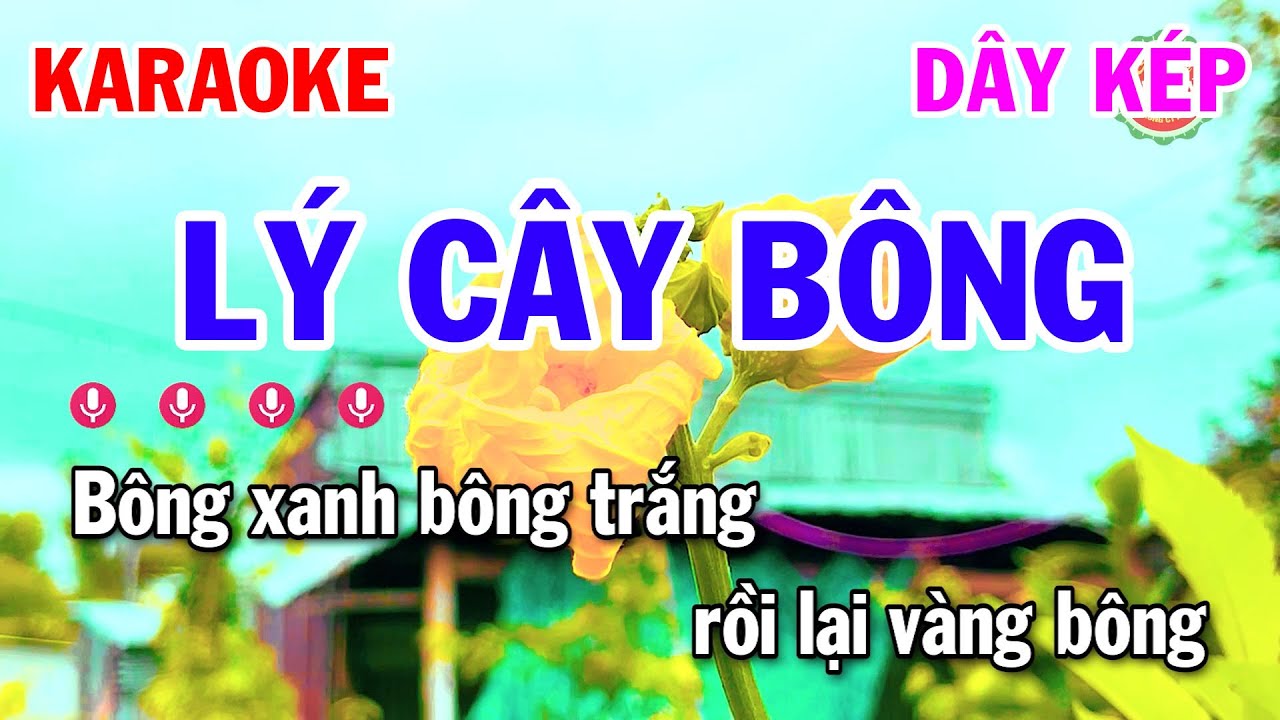 Karaoke Điệu Lý Nam Bộ || Lý Cây Bông