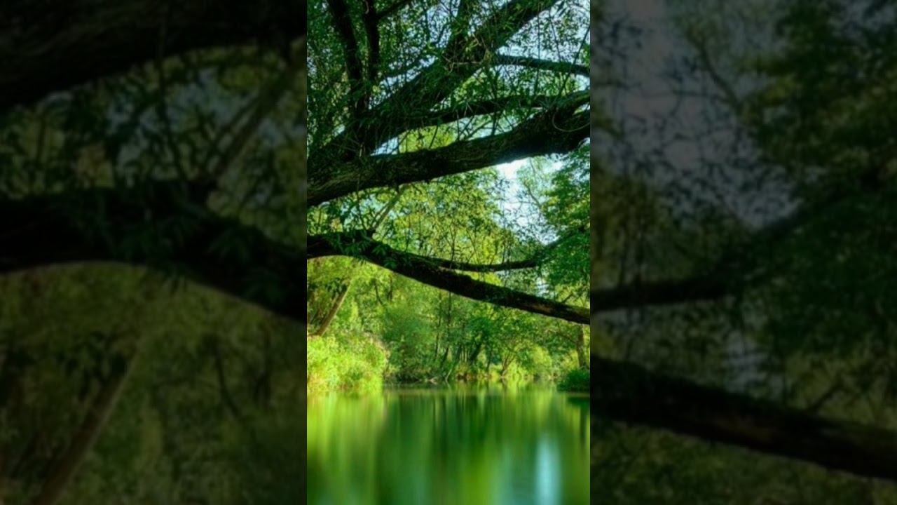 Calmness and serenity with this Sleep Music. 