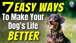 7 Ways To Instantly Make Your Dog's Life Better #253 #podcast by Dogs That 40,177 views 3 months ago 15 minutes