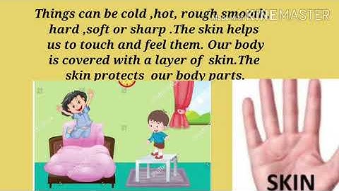 E.V.S- chapter-9  My Body ( Explanation) Priti Kumari