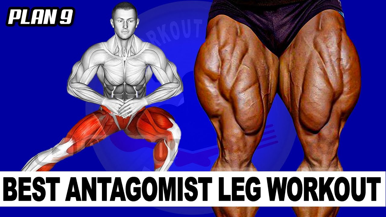 BEST LEGS Heavy Quads , Hamstrings And Glutes Workout (PLAN 9