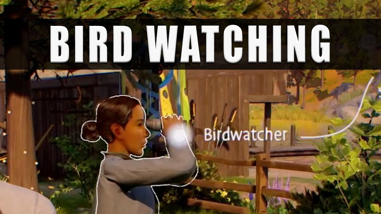 Life Is Strange True Colors bird location