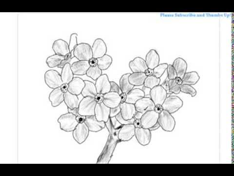 Featured image of post How To Draw A Bunch Of Roses / 17 how to draw a bunch of roses.