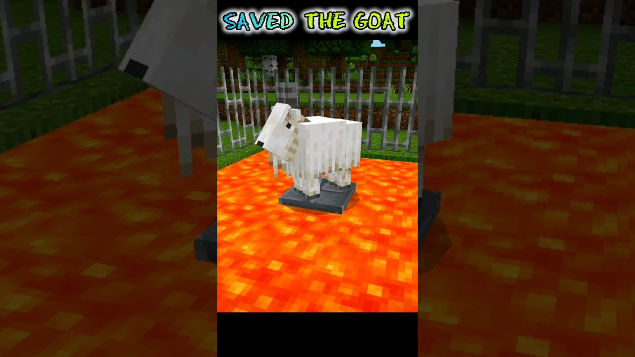 🥺 I SAVED THE GOAT IN MINECRAFT !! | MINECRAFT | NF GAMERZ | 