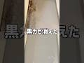お風呂のひどい黒カビをラクにスルスル落とすなら黒木真白！