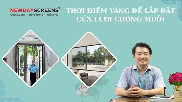 Thời điểm vàng để lắp đặt cửa lưới chống muỗi tiết kiệm và đẹp [Cửa lưới New Day]|08 3398 3399
