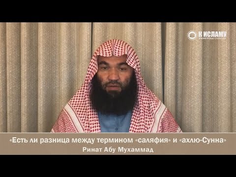 Видео: Разница между термином и словом