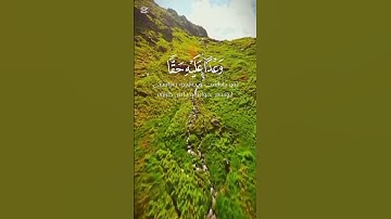 #القرآن #quran #quran_alkarim #القرآن_الكريم #fyp #محمد_اللحيدان #سورة_التوبة