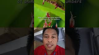 monster #highlights #viewers #monster #views_viral_video_subscribers_grow