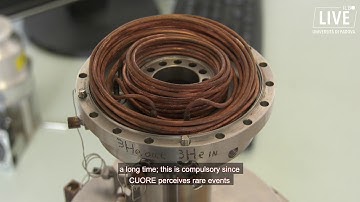 The CUORE Underground Experiment Narrows the Search for Rare Particle Process