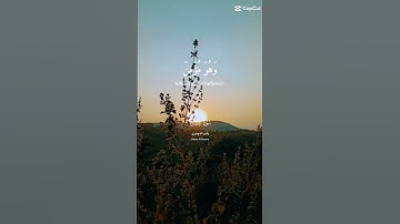 و من أراد الأخرة و سعى لها سعيها و هو مؤمن ...🥀{سورة الإسراء} ياسر الدوسري#قرآن #quran#استغفر_الله