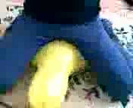 sexy ass vk isveçli bekar kadınlar