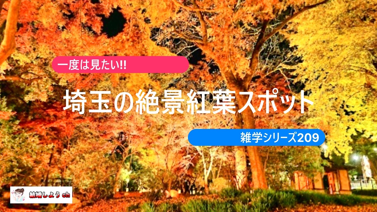 Saitama's Scenic Views] [Autumn Foliage Spots] Trivia Series 209