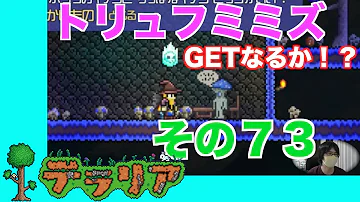 テラリア トリュフ Mp3