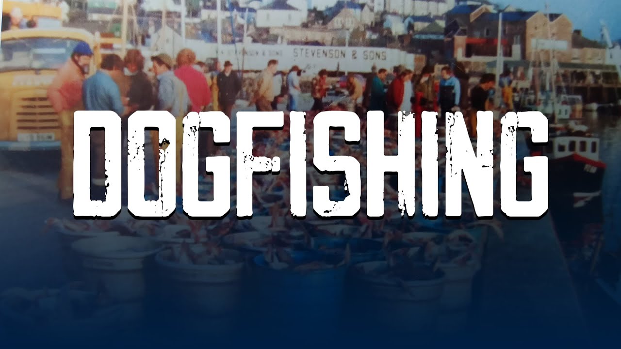 Dogfishing