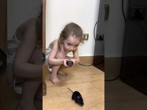 وضعت لهم فأرة