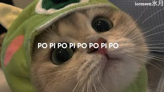 música fofinha do tiktok que fala "popipopipopopipo" | PoPiPo - Hatsune Miku (tiktok) [TRADUÇÃO]