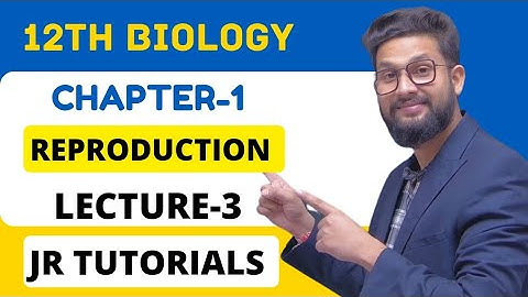 12th Biology | Chapter 1 | Reproduction in Lowers & Higher Plants | Lecture 3 | JR Tutorials |