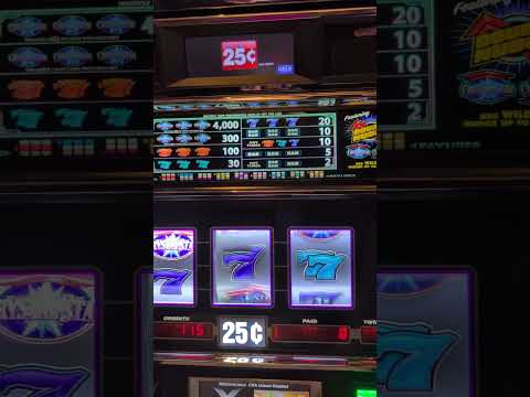 Daer Day Club - Hardrock Casino - (Miami) Vlog