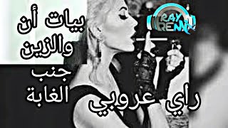 Ray Remix-byat Ana wzin janb l3aba/بيات ان والزين جنب الغابة