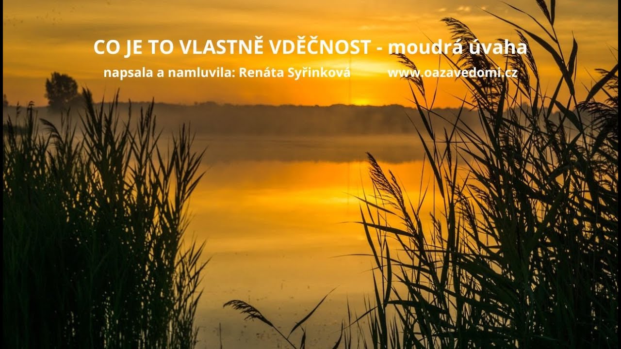 Co Je To Vlastn Vd nost Moudr vaha YouTube co-je-to-vlastn-vd-nost-moudr-vaha-youtube