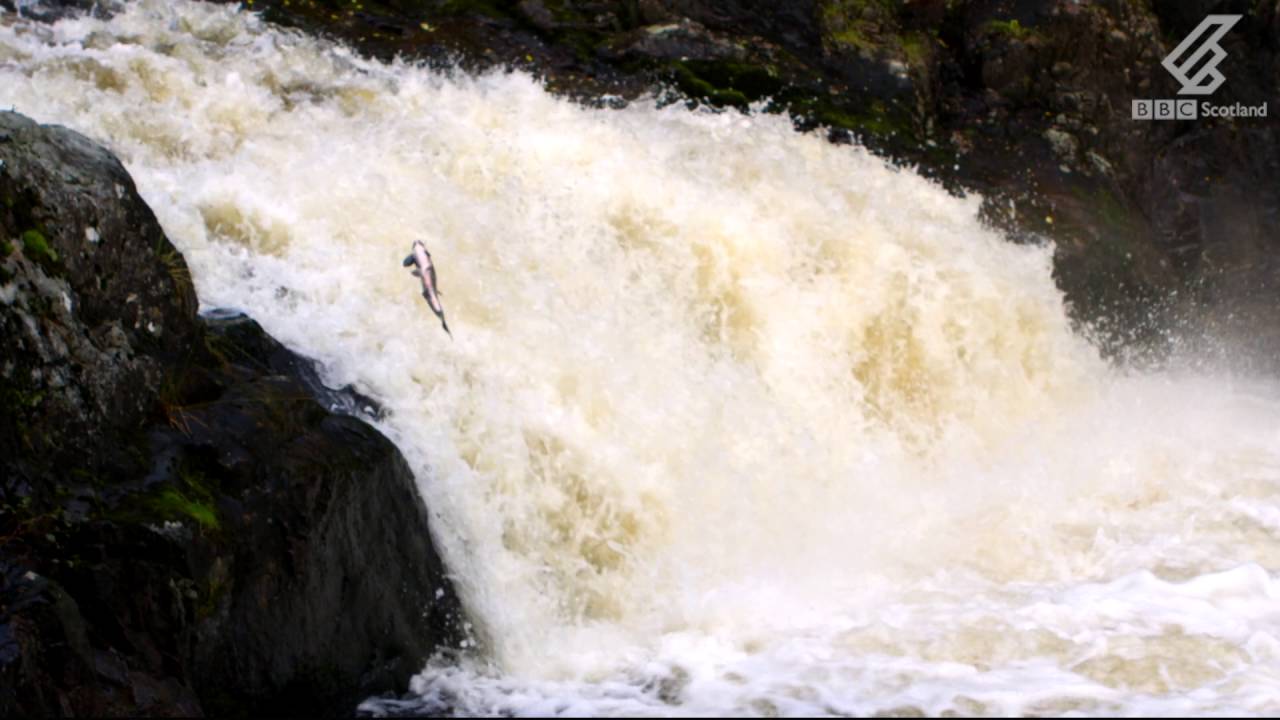 Highlands: Scotland’s Wild Heart trailer