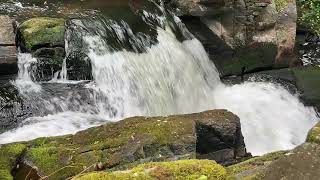Refugio de Verdes (A Coruña)