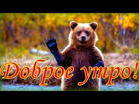 Доброе утро!