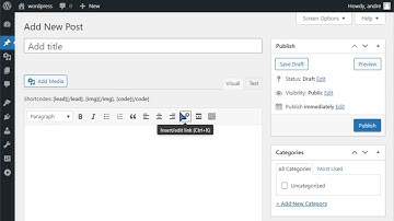 How to add content before the WordPress editor