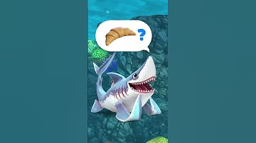 Hungry Shark | Quaso!