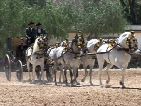 (19) Enganches Concurso y Exibicin, Jerez de La Fr...