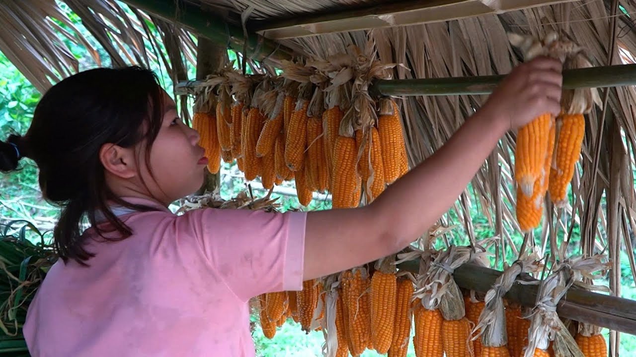 bamboo farm, bamboo house, bamboo duck house
