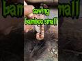 sawing using bamboo small fireboard #firemaking  #primitivefire #bushcraft #survival