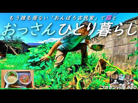 野生動物と共存する菜園のコツ、自然のバリアで守る
