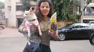 Qayamat ka Din | Dogs Vaccination Day | Ss vlogs :)
