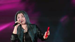 歌台 Singapore Getai 歌手 何佩霖 演唱