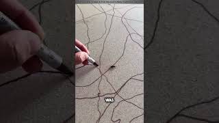 Tiny Creature Turns Doodle Into Gold ❤️