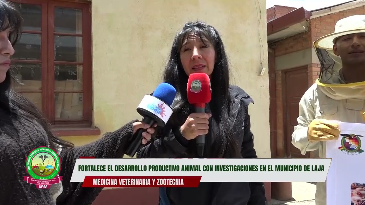 UPEA FORTALECE EL DESARROLLO PRODUCTIVO ANIMAL CON INVESTIGACIONES EN EL MUNICIPIO DE LAJA