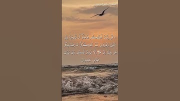 سورة سبأ من آية 44  إلى آية 46 بصوت الشيخ ياسر الدوسري♥♥