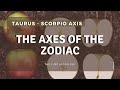 Taurus & Scorpio | The Axes of the Zodiac