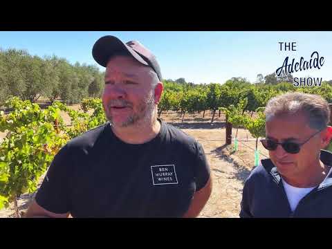 392 - Leadership Drought: A Call to Wine Australia Amid Small And Family Winery Despair