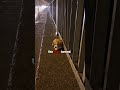 #wholesome