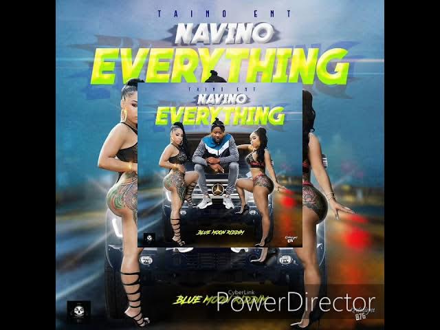 Navino-everything (raw)