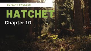 Hatchet Chapter 10