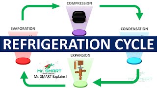 Refrigeration Cycle : Understanding the Working of Your Refrigerator | Mr. Smart's Insight!