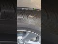 Strange beetle #shorts beetle #bugs