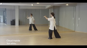 Dong style taijichuan  slow form 2nd part-2015