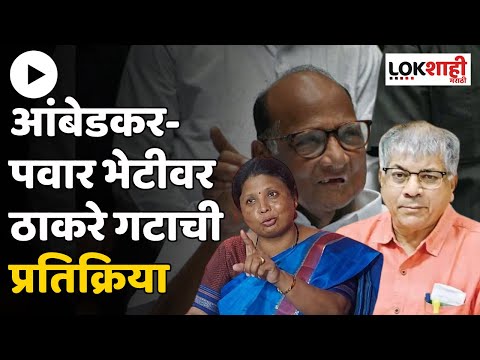 Sushma Andhare On Ambedkar Pawar Meet | आंबेडकर- पवार भेटीवर अंधारेंची प्रतिक्रिया |Lokshahi Marathi