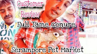 Exotic birds price 💥 Customer review 💥 বাচ্ছা পালনের টিপস্ || Bengali vlog Serampore pet market 💥